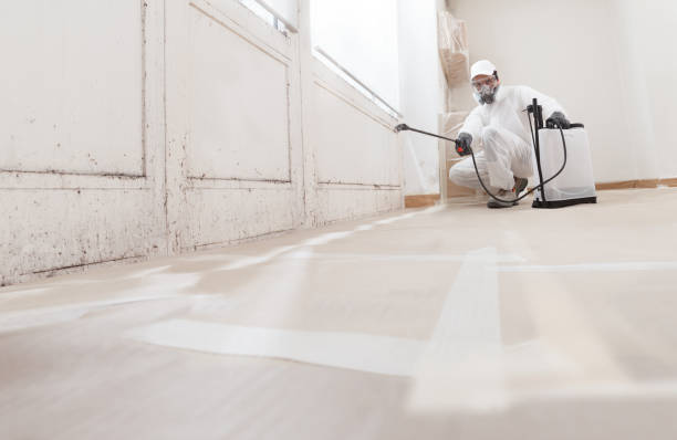 24/7 Emergency Black Mold Remediation experts in Abington, PA